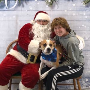 Meet your Posher, Dawn